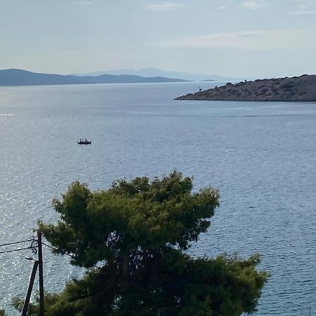 فيلا Two Islands Pachi المظهر الخارجي الصورة
